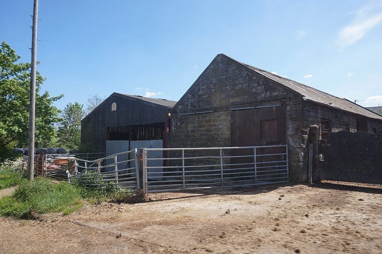Where Festival-Goers Stayed
