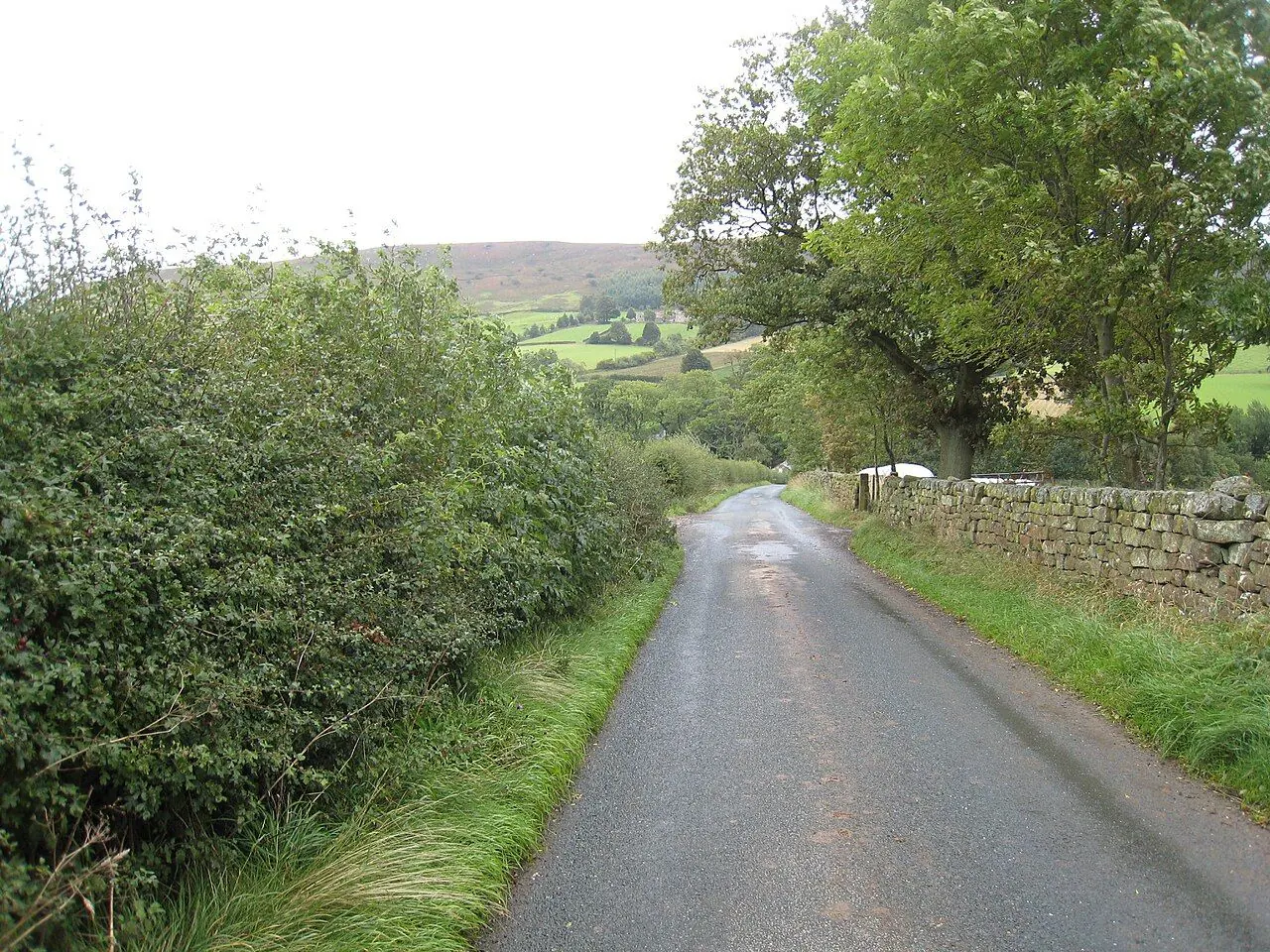 Road to Botton Village