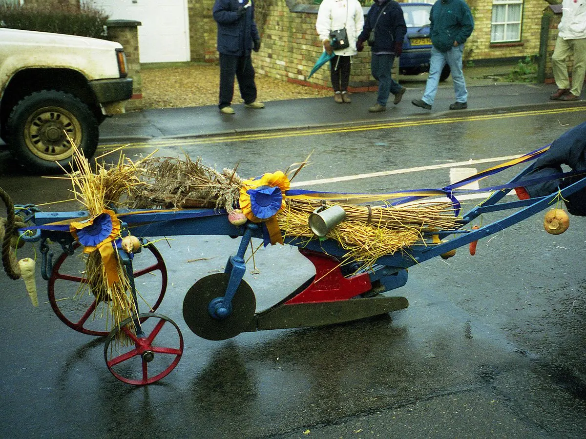 A plough being pulled through the streets of Whittlesey, Cambridgeshire, UK, as part of the Whittlesey Straw Bear Festival procession. Ploughs were traditionally taken around by Plough Monday mummers 