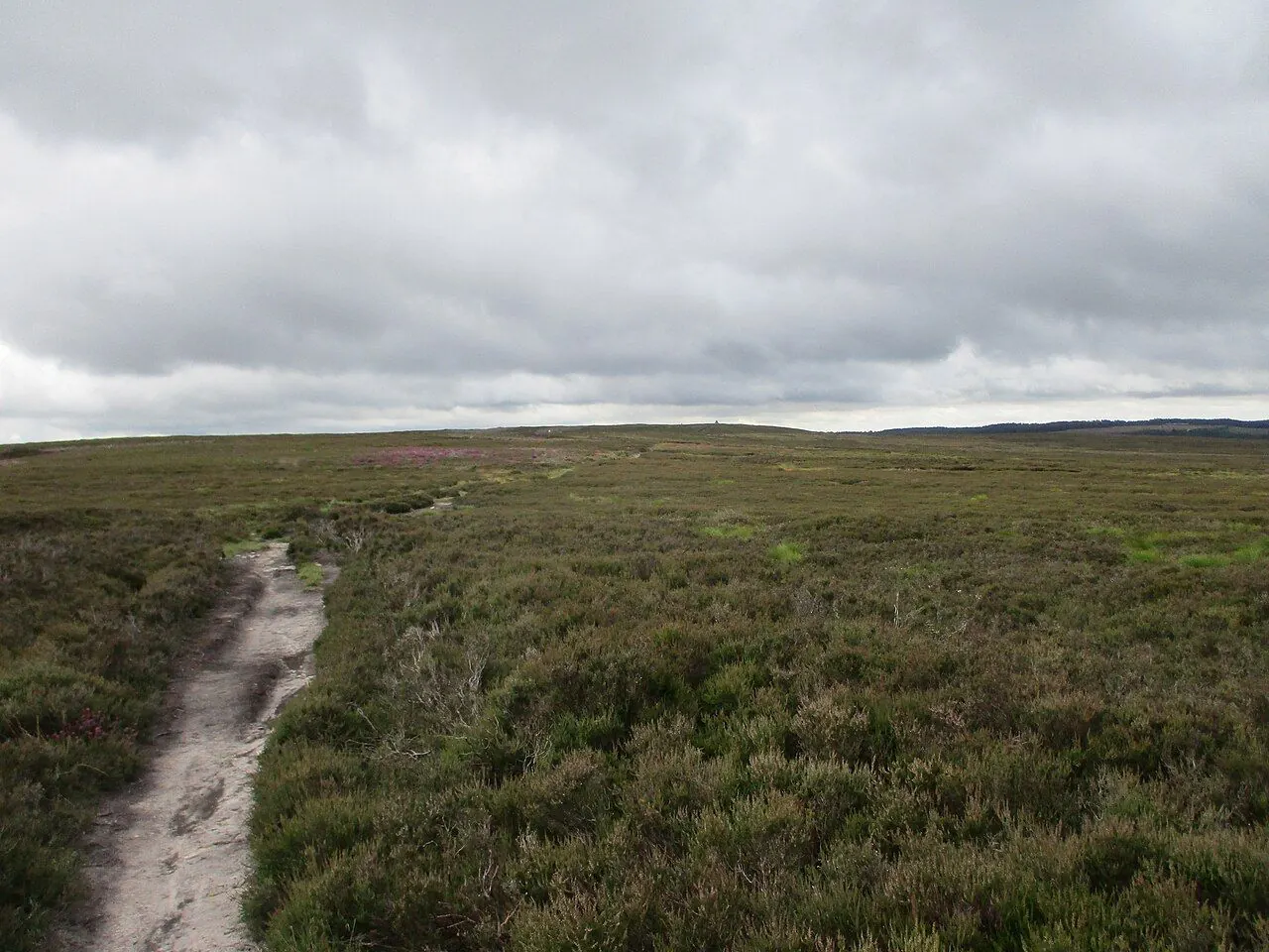 Purple heather moorland in the North York Moors